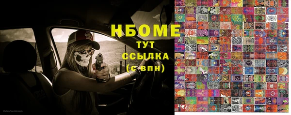 амф Верхний Тагил